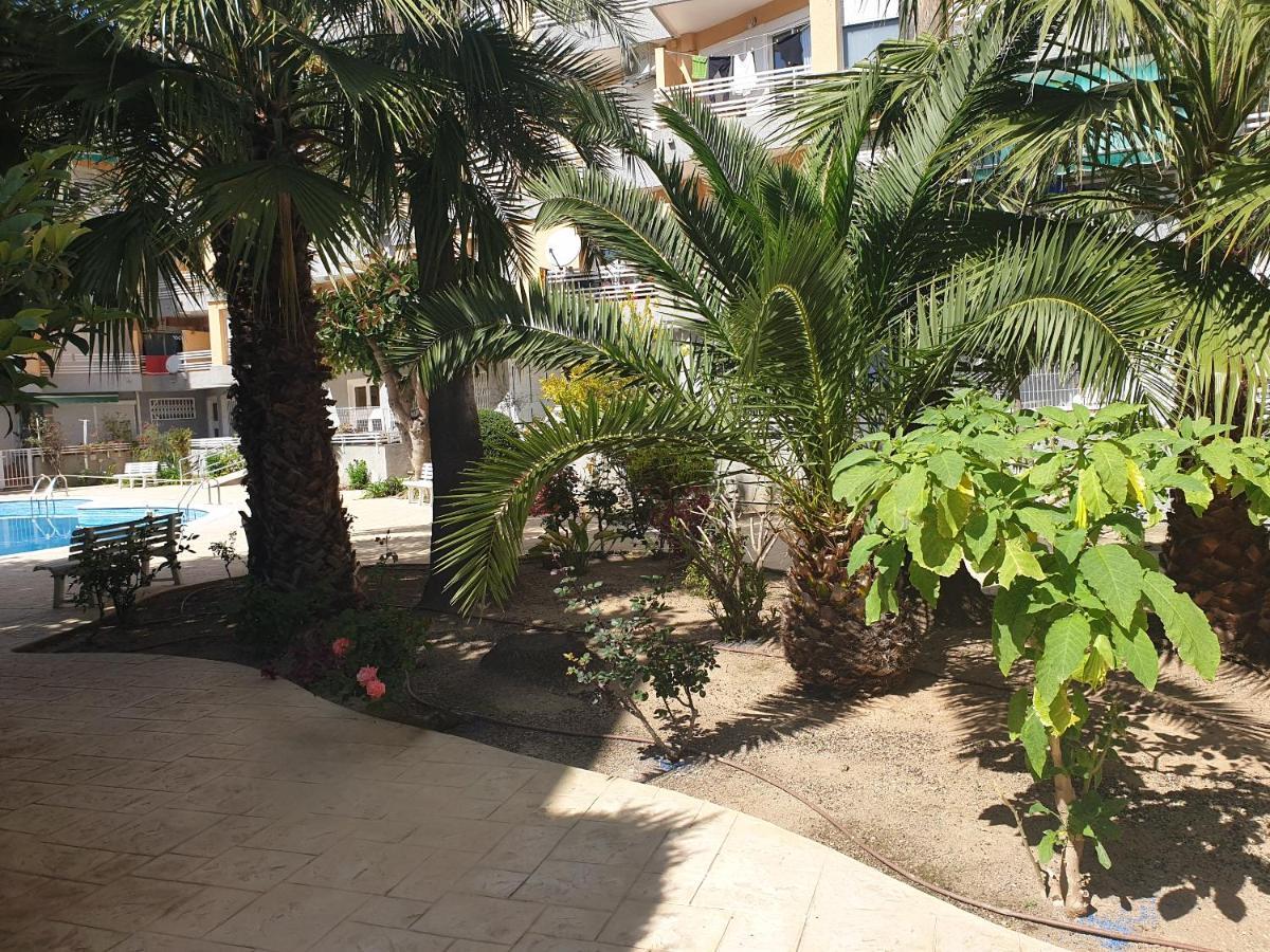 Estrella Home סאלו מראה חיצוני תמונה