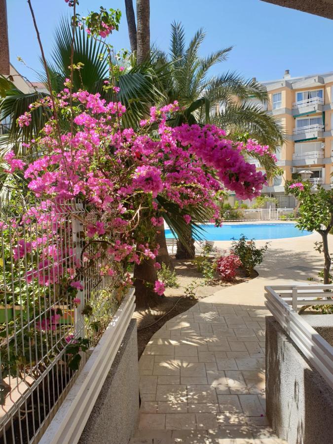 Estrella Home סאלו מראה חיצוני תמונה